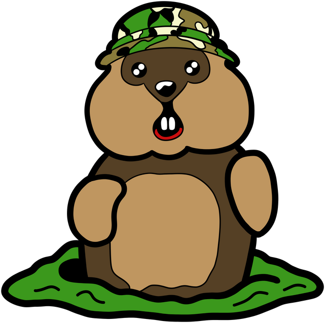 Gopher Ball Marker