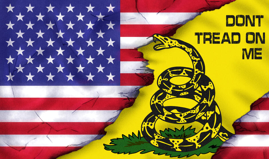 &#39;Don&#39;t Tread on Me&#39; Towel Design